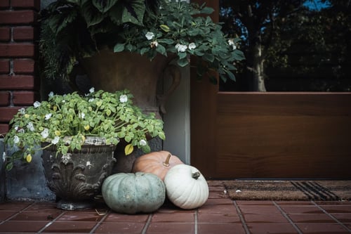 a group of pumpkins and potted plants on a porch
