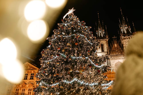 a christmas tree with lights and a castle in the background