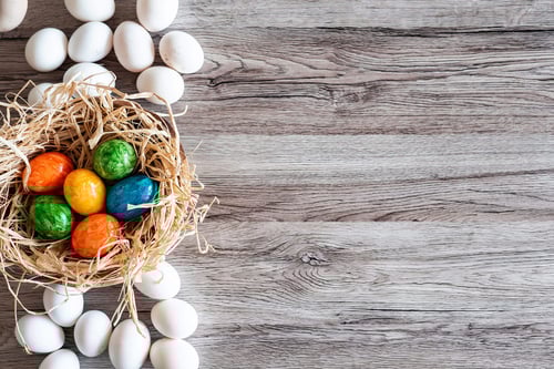 a nest with eggs on a wood surface
