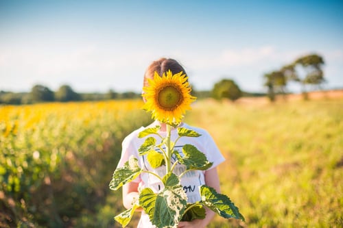 a person holding a sunflower in front of their face