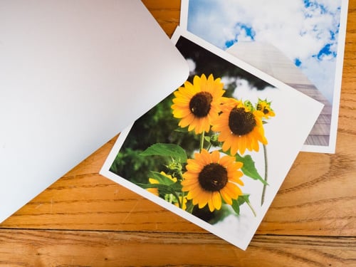 a photo of sunflowers on a table
