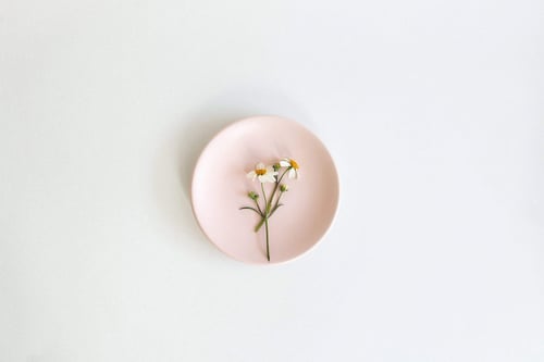 a plate with flowers on it