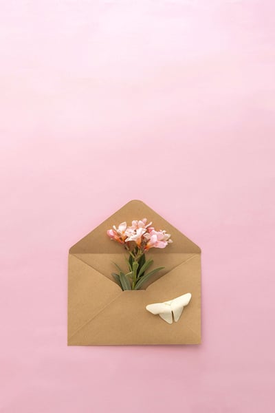 a flower in a envelope