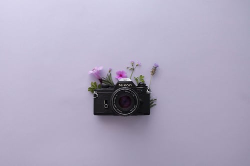 a camera with flowers in it