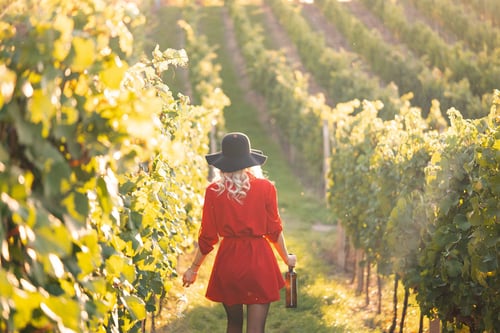 a woman in a red dress walking through a vineyard