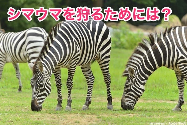 自分らしく婚活する具体的な方法