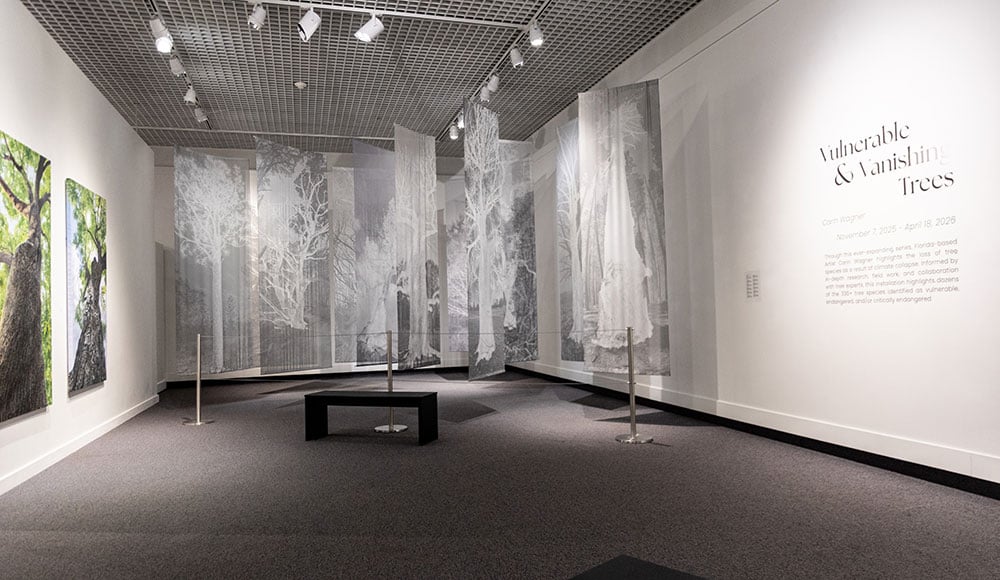 Museum of Arts and Sciences
