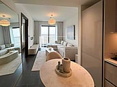 Downtown View | Fully Furnished 1BR | Vacant