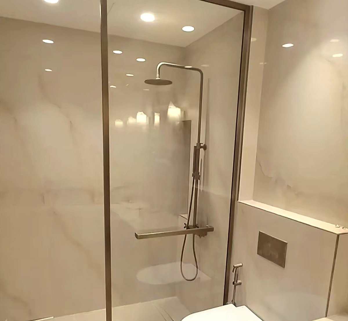 Shower Glass Enclosure