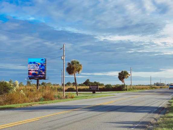 Location photo for Speedway Blvd near South Carolina Welcome Sign (Hardeeville)