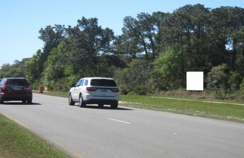 Location photo for S Suncoast Blvd near Roadside Statues (Homosassa)