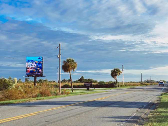 Location photo for Speedway Blvd near South Carolina Welcome Sign (Hardeeville)