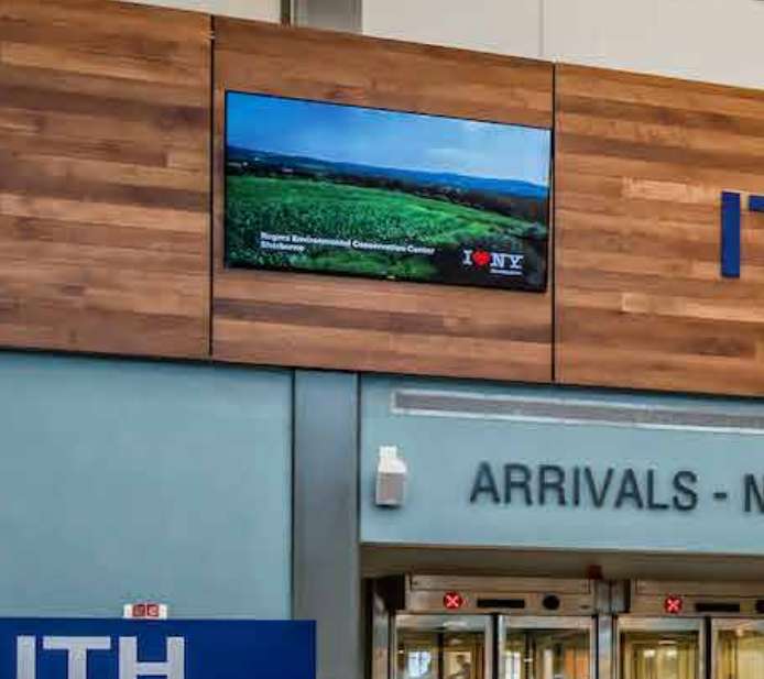 Main Lobby Digital Network - Package of 7