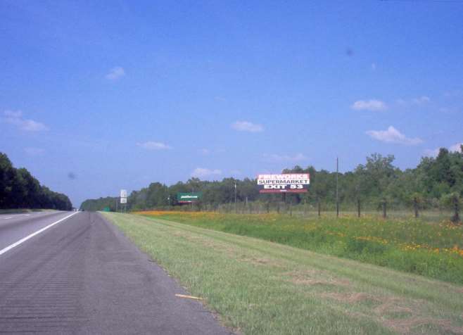 I-95 0.9 mi N/O US 17 ES Media