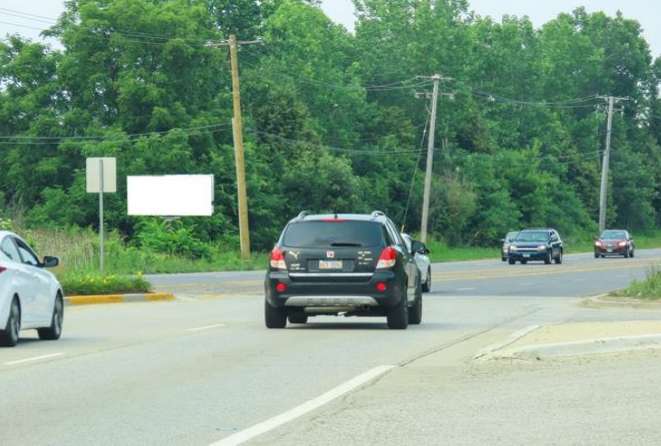 Location photo for Marquette Dr near Veterans Woods - Roy F. Hassert Grove (Bolingbrook)