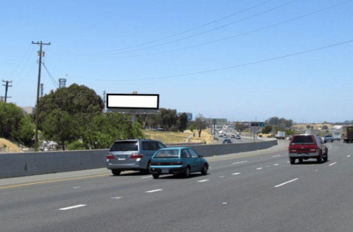 Location photo for Arthur Rd near Waterbird Regional Preserve (Martinez)