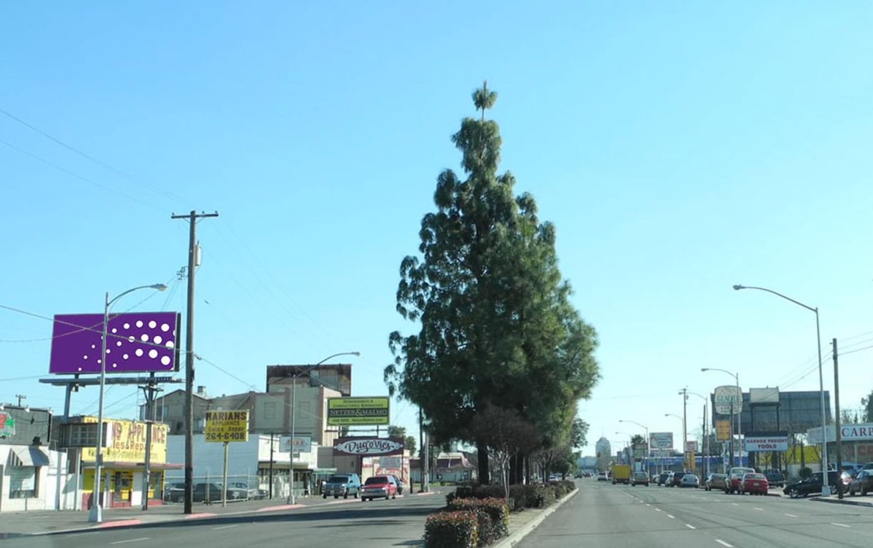 Blackstone 225 ft S/O Floradora E/S F/N Media