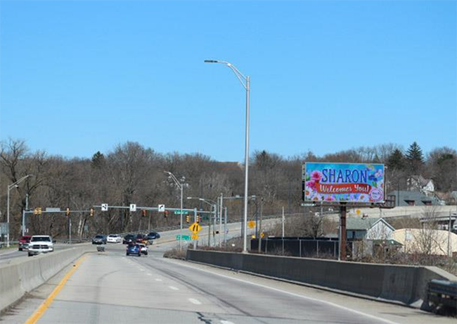 Location photo for Stewart Way near Budd Street Public Park (Sharon)