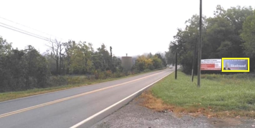 US 501 .5 MI S/O BUENA VISTA F/S #2