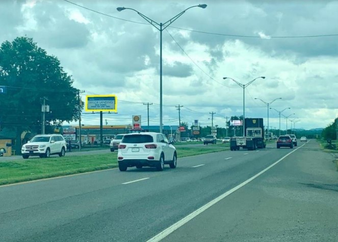 US 31 E/S .8 MILE N/O US 412 F/N Media