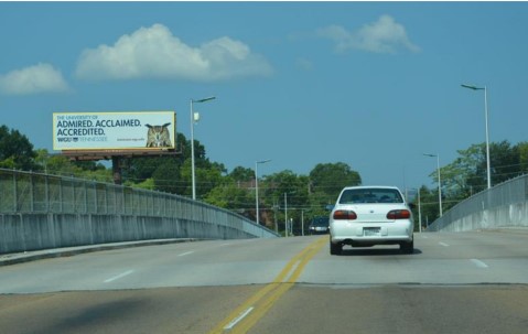 East MLK Ave & Central Ave Media