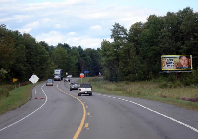 Location photo for Bellen Rd near The Wildlife Sports and Educational Museum (Broadalbin)