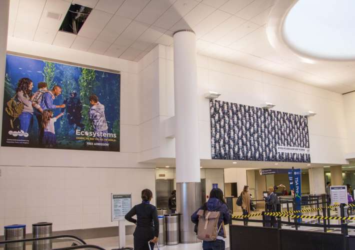 Static in Westchester, CA