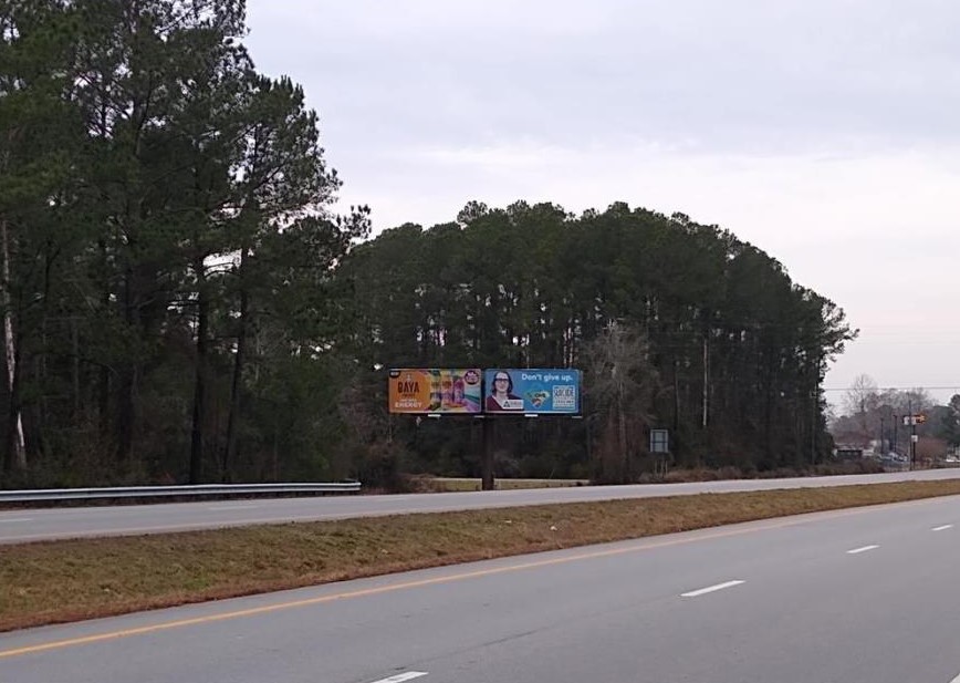 W/S US 17 BYP. .1 MI. N/O NC 55 F/S#1 Media