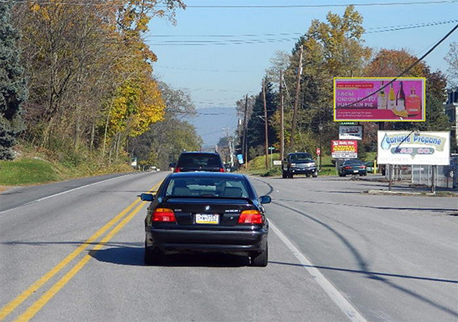 Location photo for Holly Pike near Alma Health (Carlisle)