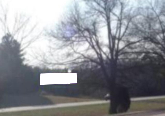 E/S I-85, 0.6 mi N of Granville/Vance CL, mm 209.2 F/N Media