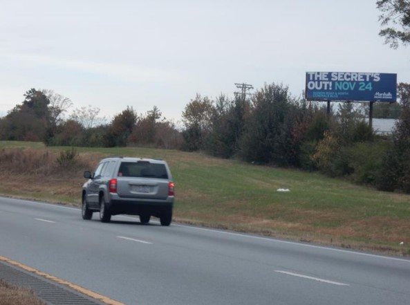 US 321 1.4 mi N/O SR 279 ES Media