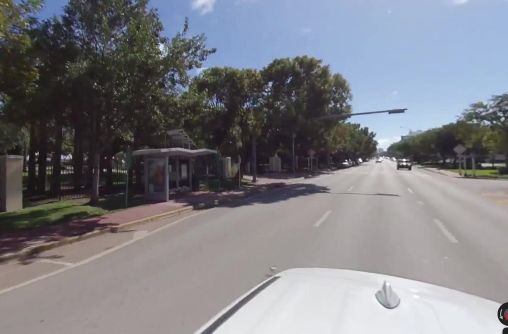 Location photo for Bark Beach (Miami Beach)