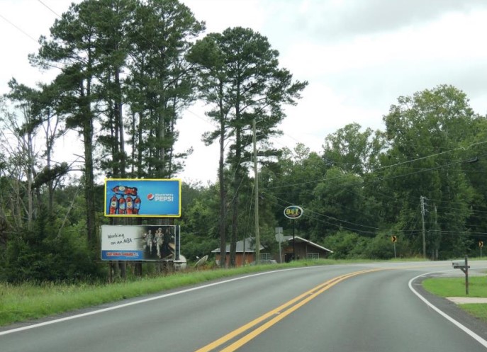 Location photo for Mineral Springs Rd (Pell City)