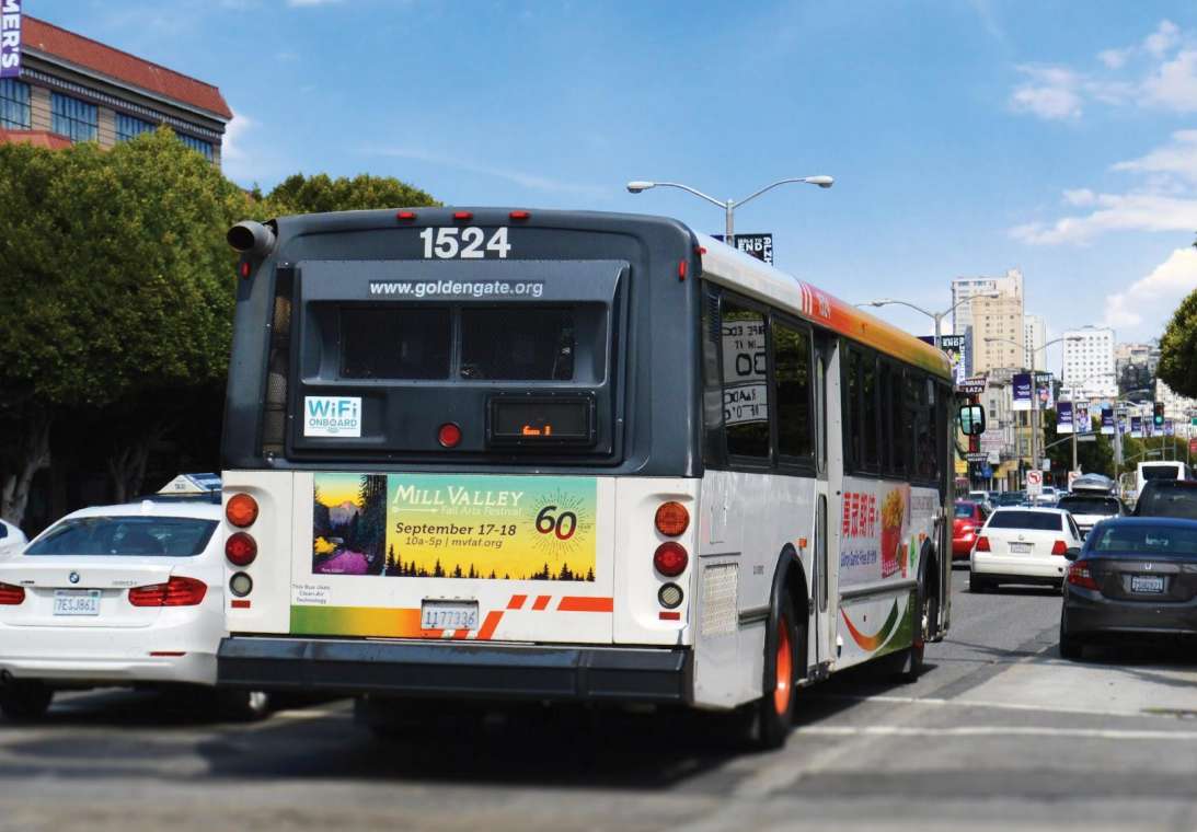 Tail - 19"x79" Media