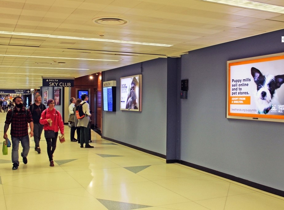 Lit Multi Graphic Diorama in Amf Ohare, IL