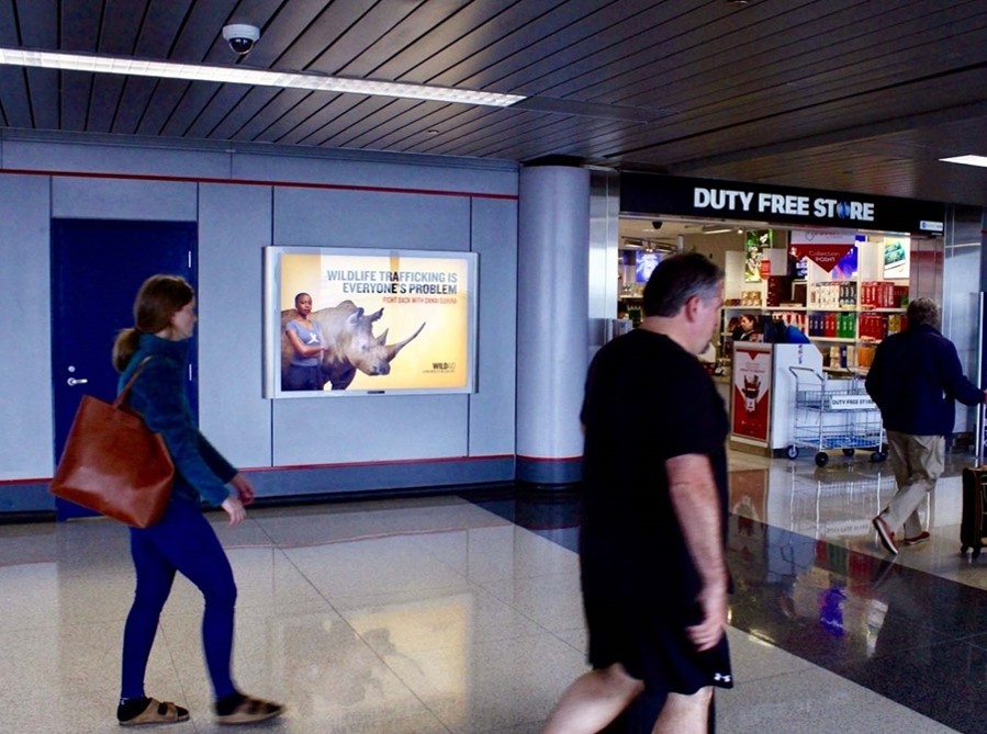 Lit Multi Graphic Diorama in Amf Ohare, IL