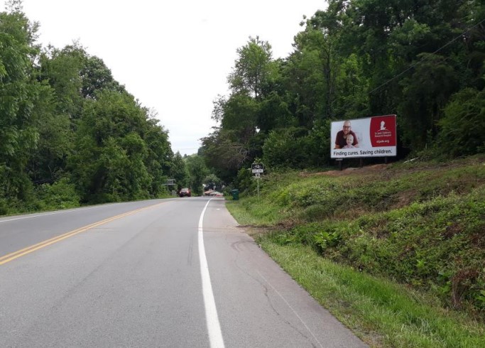 N/S ROUTE 250, .4 MI E/O WAYNESBORO, F/E