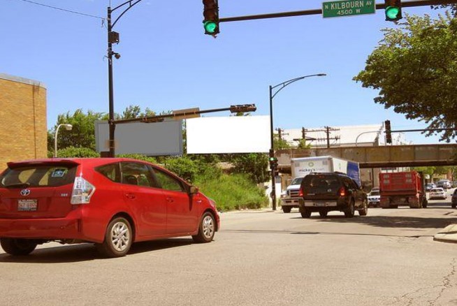 Location photo for The Doggy Dojo Inc. (Chicago)