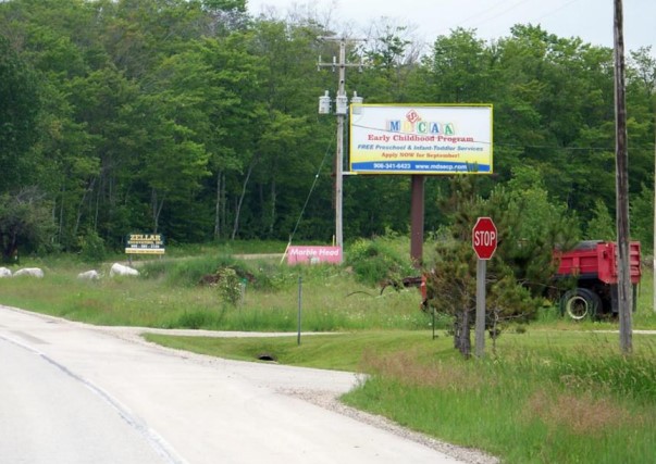 Location photo for Duck Inn Rd (Manistique)