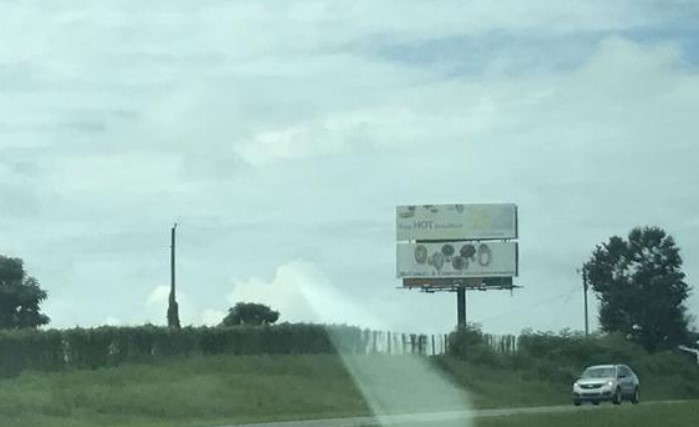 I-10 east of Bonifay Exit 112 - South Side of Interstate - Top Panel. E/F CR Media