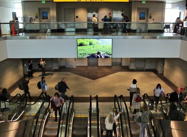 Escalator Network in Denver, CO