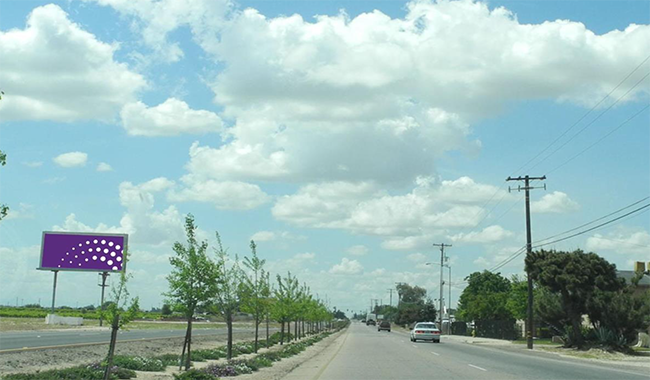 Manning Ave .20 mi W/O Mendocino Ave S/S F/E Media