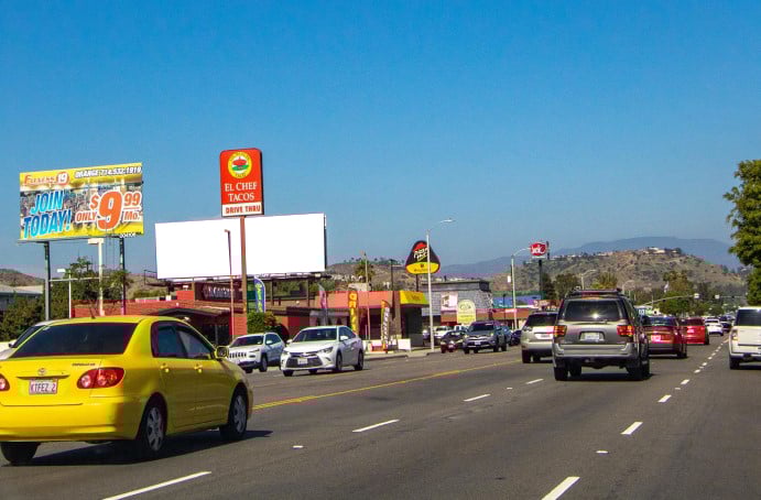 Chapman N/L W/O First F/W Media