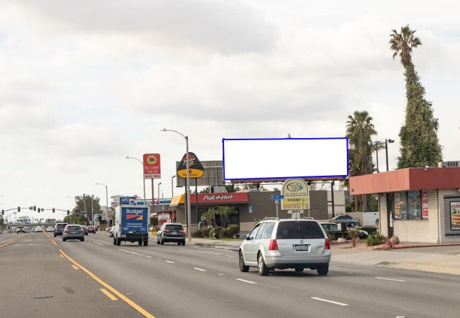 Chapman N/L W/O First F/E Media