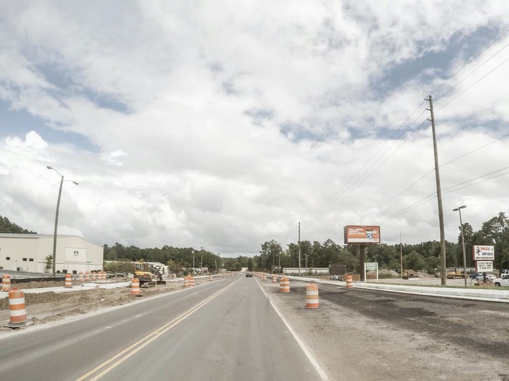 Location photo for College Park Rd near Dogtopia of Summerville (Summerville)