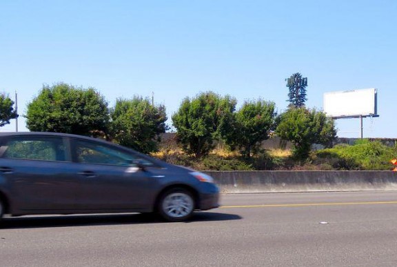 Location photo for Wright Ave near Cutting Blvd & Harbour Way S, Coronado (Richmond)