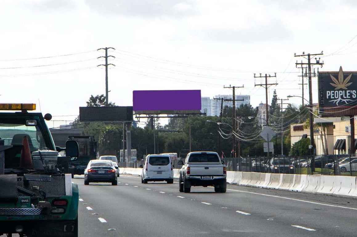 Newport Fwy W/L N/O Warner* F/N Media