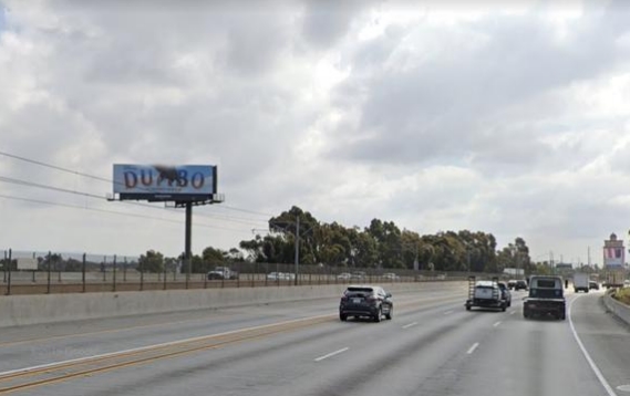 Location photo for Lynwood Rd near Cesar’s tree (Lynwood)