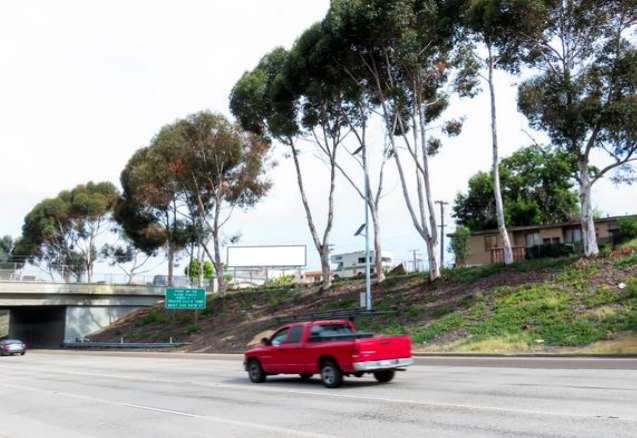 Location photo for Newton Ave near Harbor Point Shopping Center, Logan Heights (San Diego)
