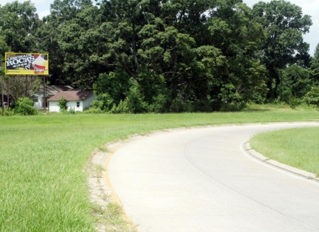 PLANK S/O AIRLINE W/S P.IND. Media